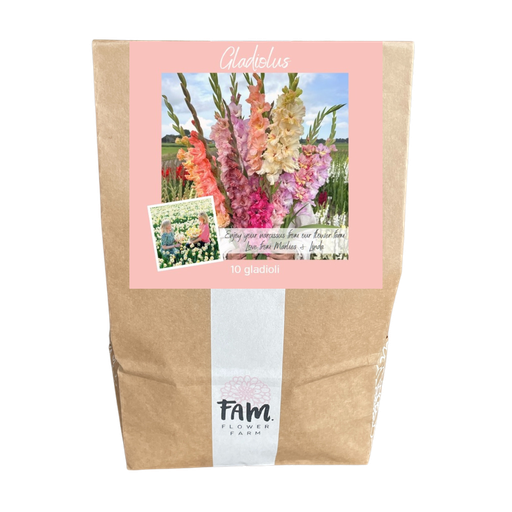 Kostenlos: 1 Mix-Tüte mit 10 Gladiolenzwiebeln