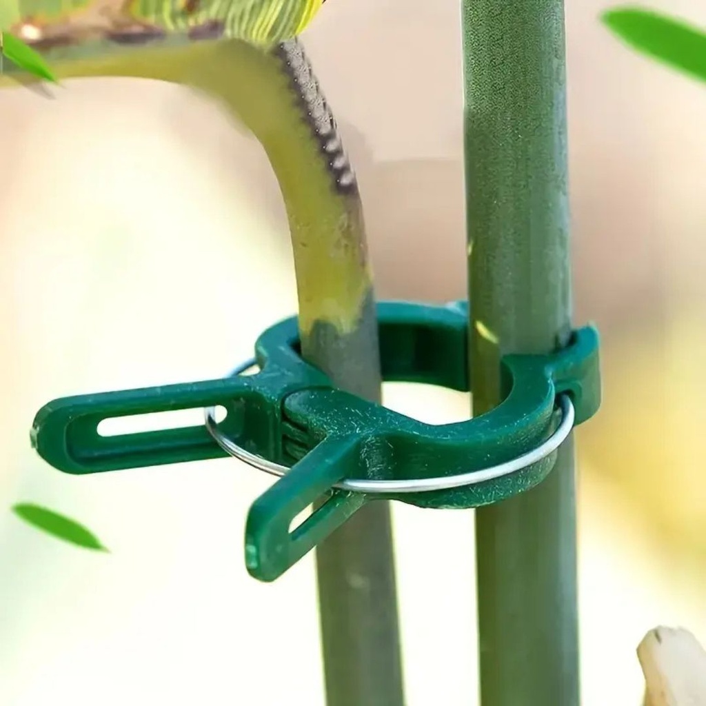 Pflanzenclips – 10 Stück