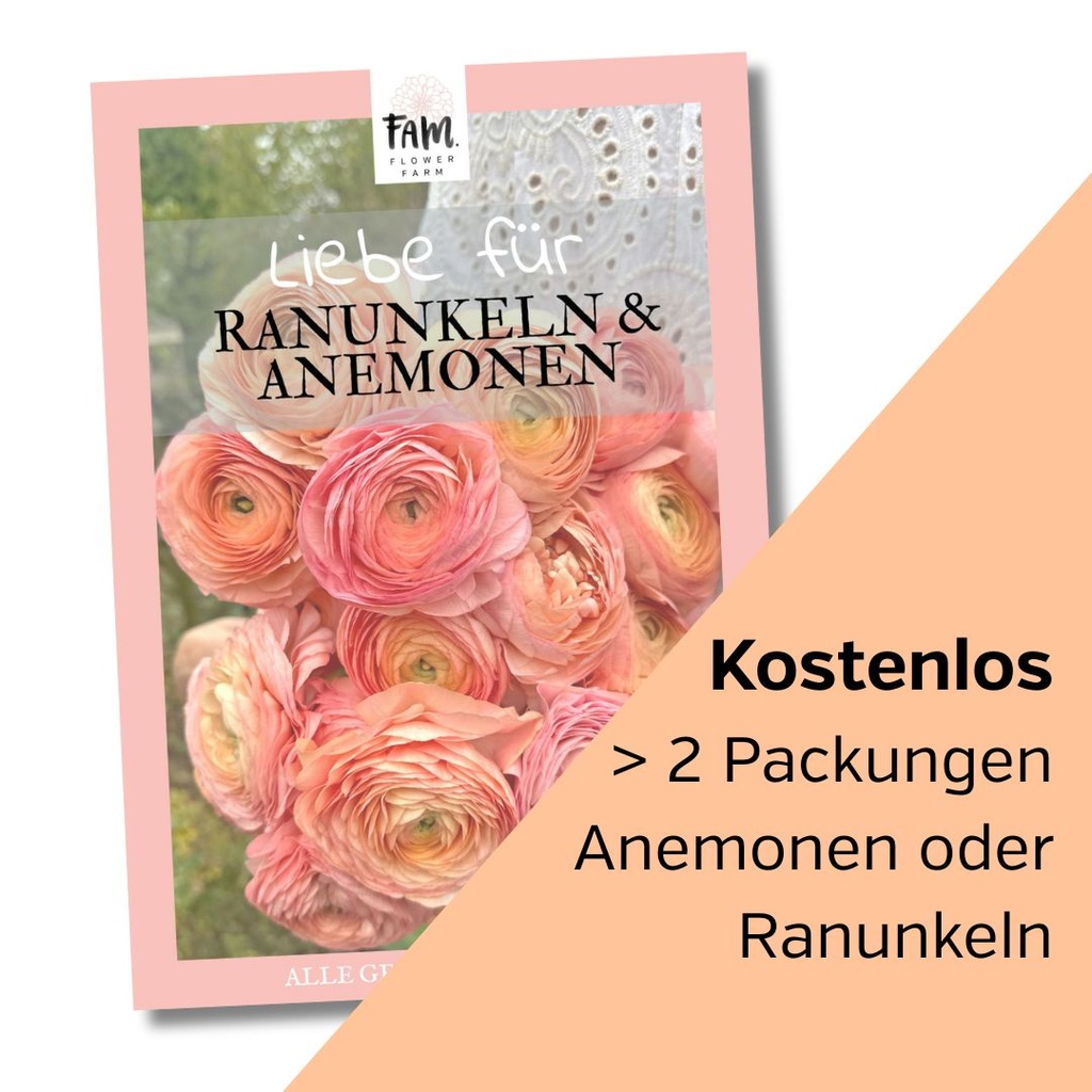 Büchlein Liebe für Ranunkeln & Anemonen