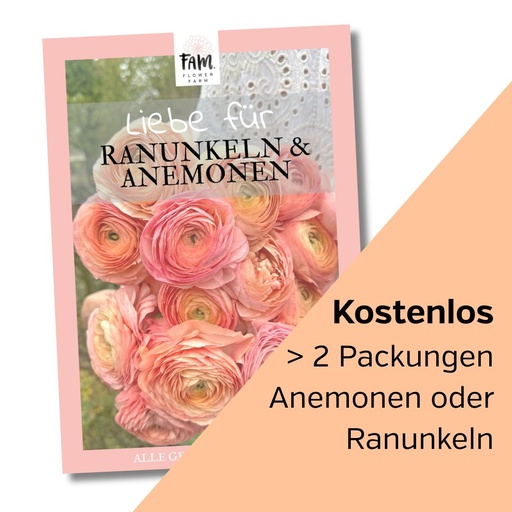 Büchlein Liebe für Ranunkeln & Anemonen